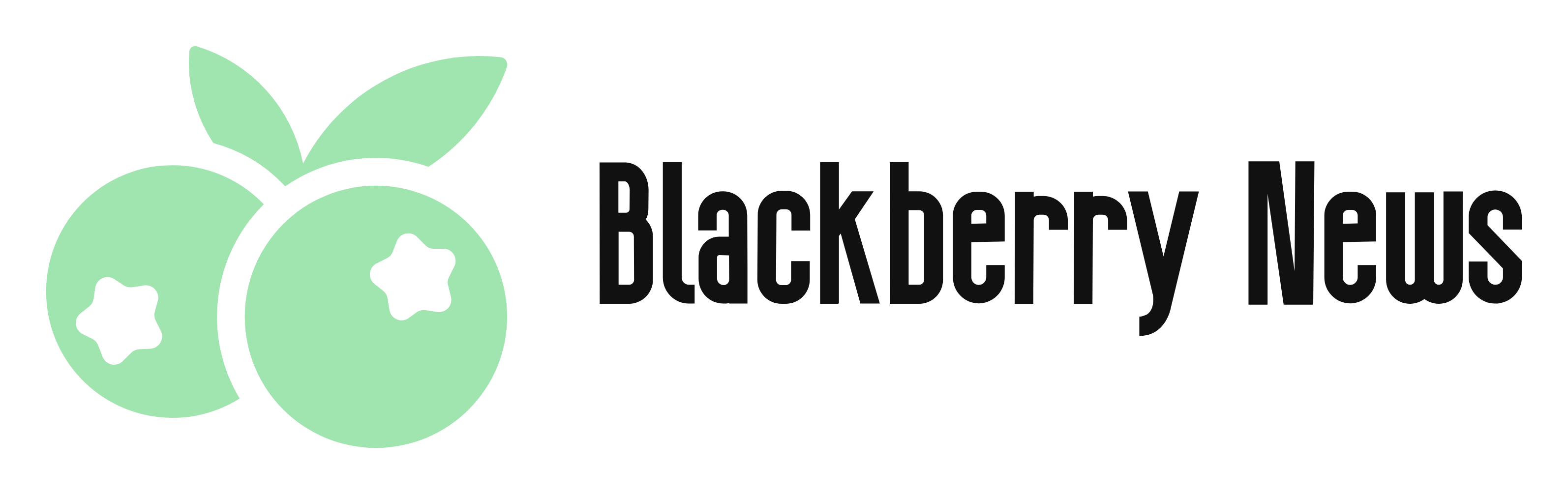 blackberry-news.com
